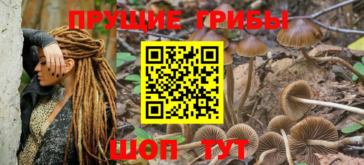 Галлюциногенные грибы прущие грибы Киселёвск